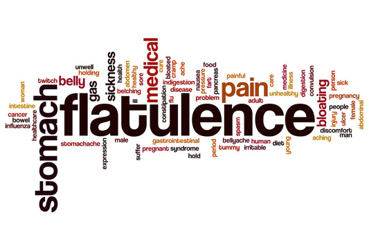 flatulence word cloud