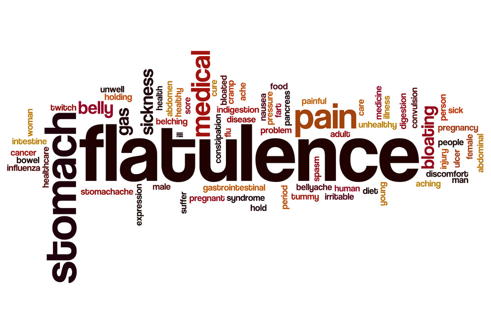 flatulence word cloud