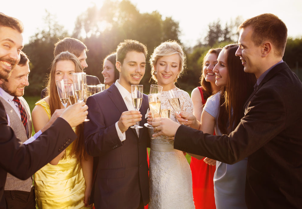 Guests at outdoor reception toast bride and groom