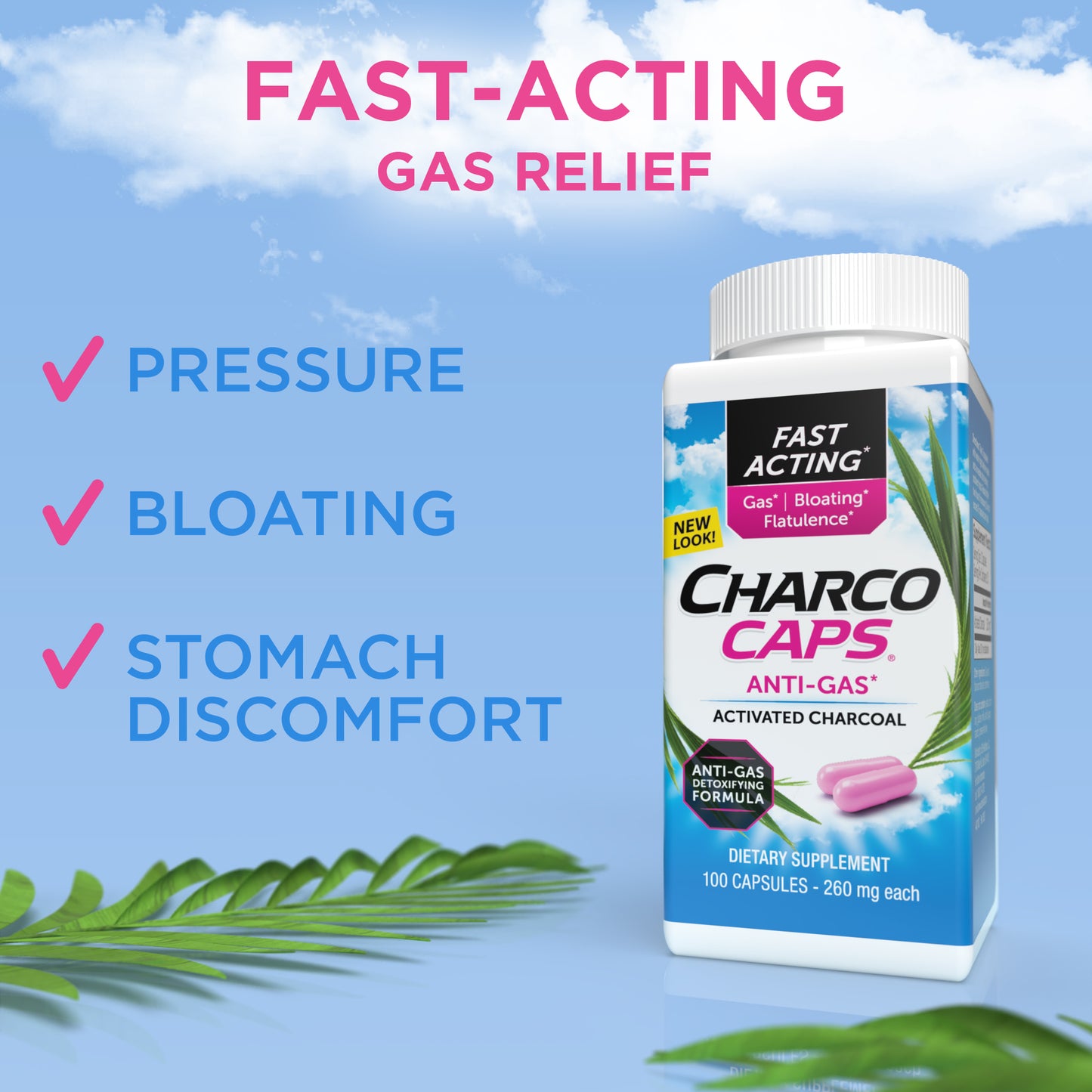 CharcoCaps Activated Charcoal Detoxifying Gas Relief 100 Count Capsules
