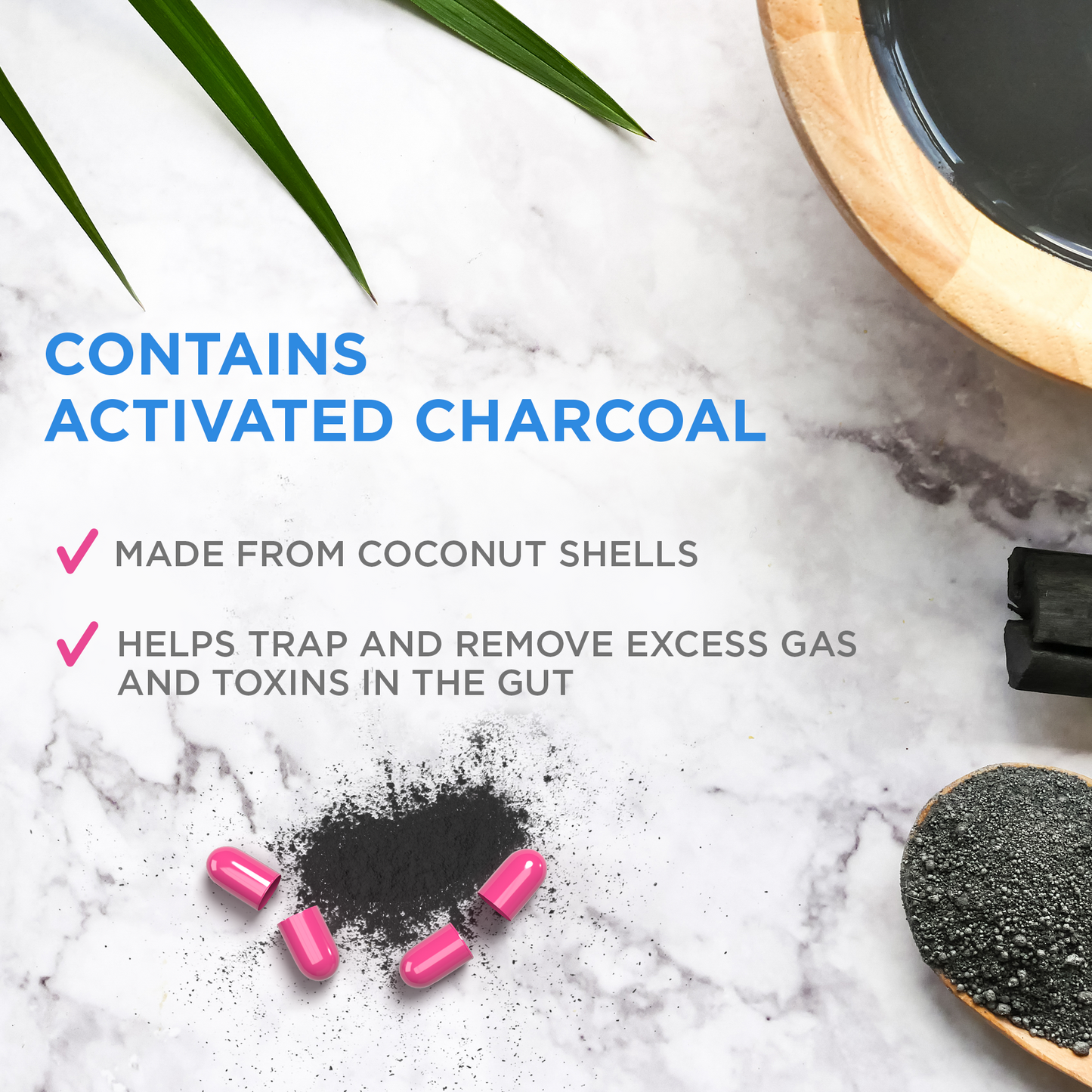 CharcoCaps Activated Charcoal Detoxifying Gas Relief 100 Count Capsules